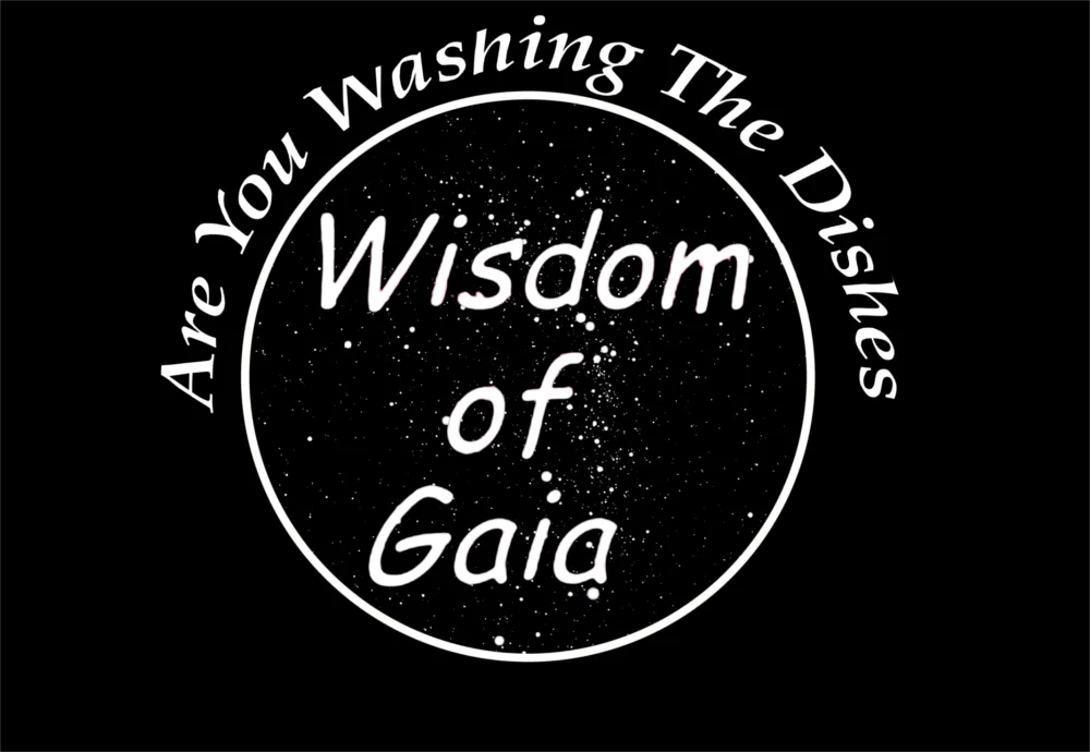 Are You Washing The Dishes