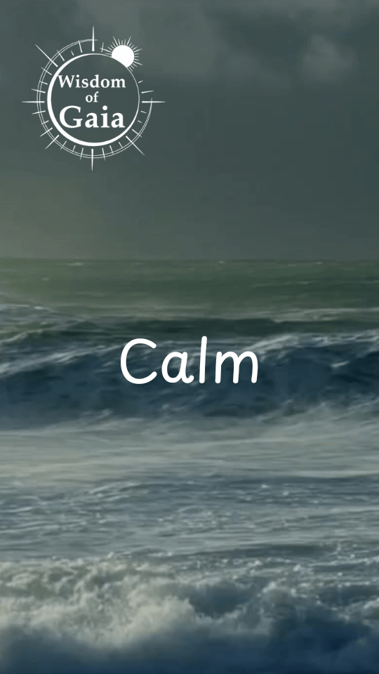 Calm