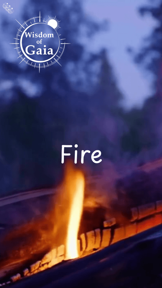 Fire
