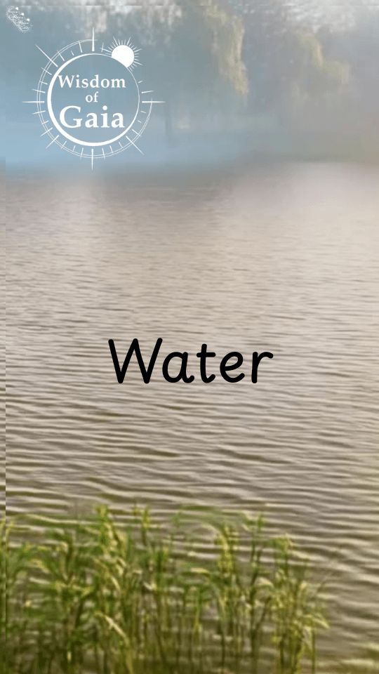 Water