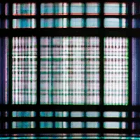 Algorithmic Processes
