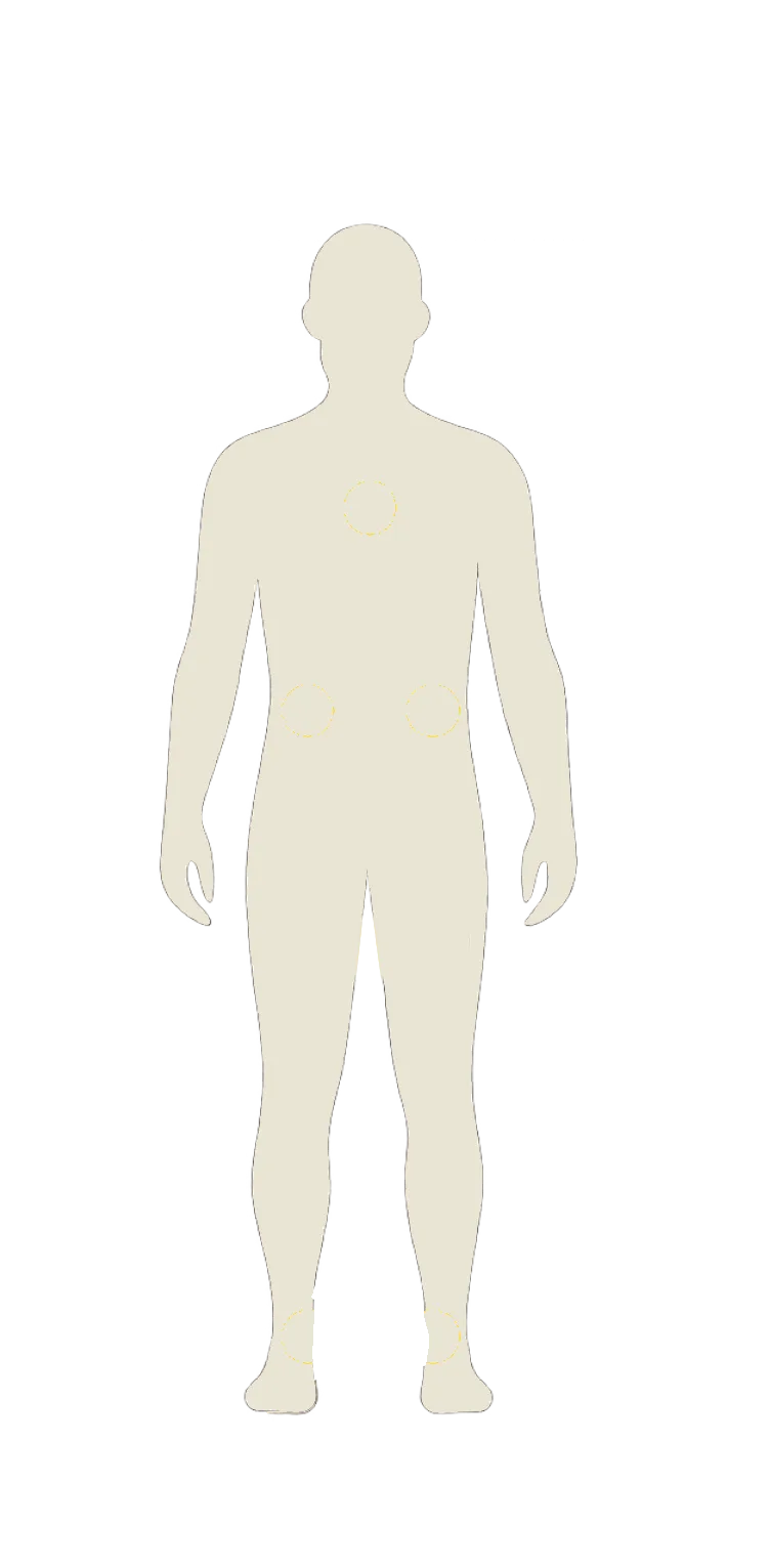 Body Outline
