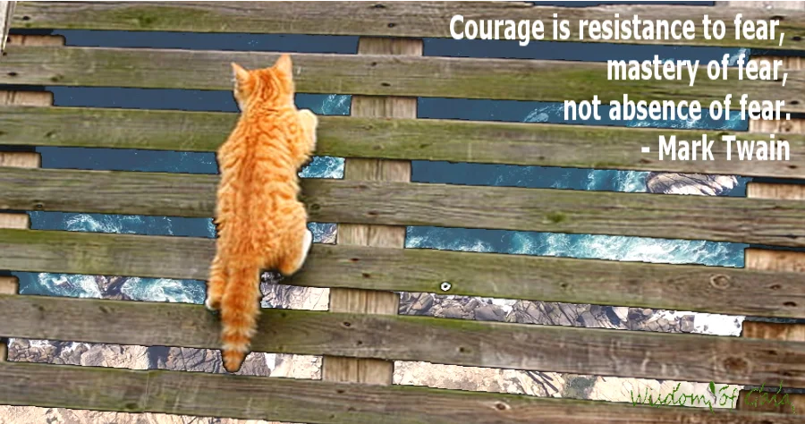 Bravery