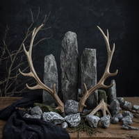 Cailleach Symbols