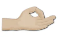 Earth Mudra