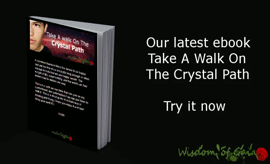  Download