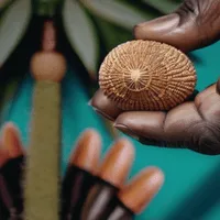 Ikin Sacred Palm Nuts
