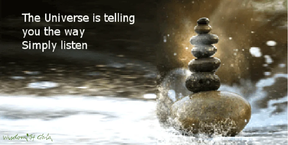 Ten Steps To Zen