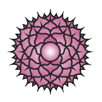 Sahasrara