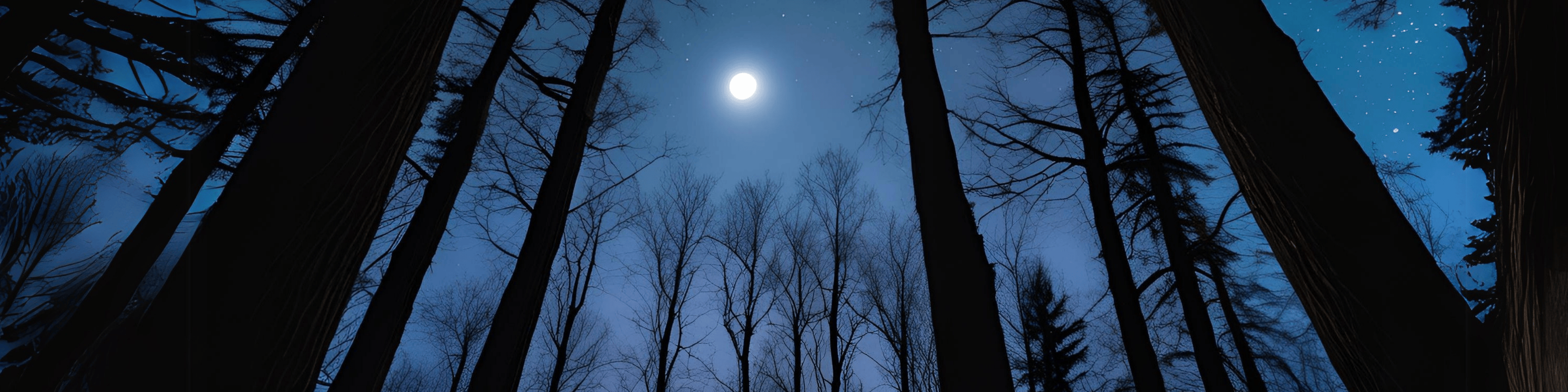Moon Wisdom